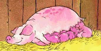 �Oink! �Oink!