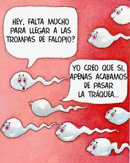 Al rico chiste picantonamente guarro XDDDD