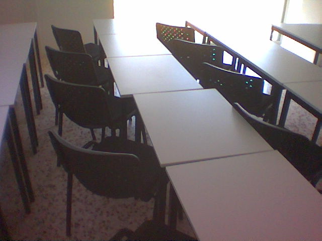 Todas cara al sol...