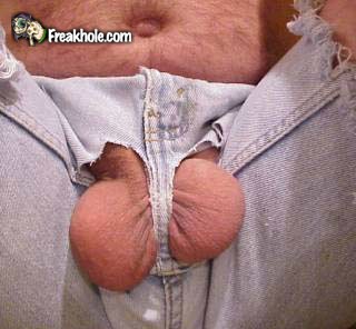 Fresquitos fresquitos...