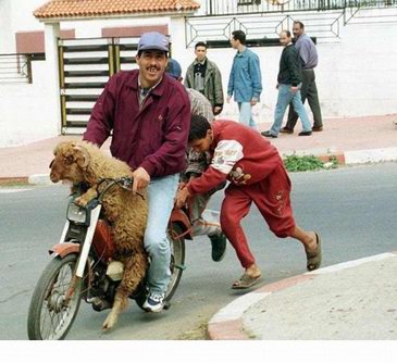 Motorista mor... digo marroqu�...