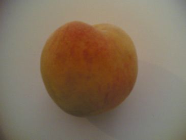 Primer melocot�n 2005