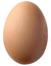 Huevo moreno
