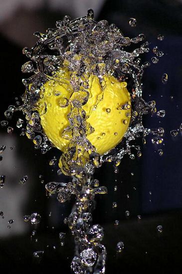 Una flor a base de agua